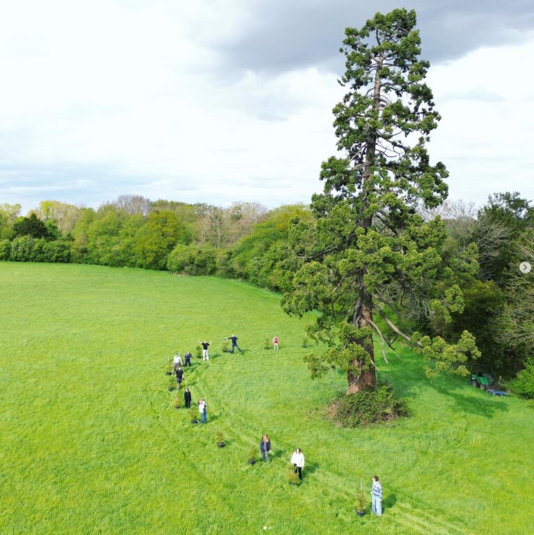 Supporting nature