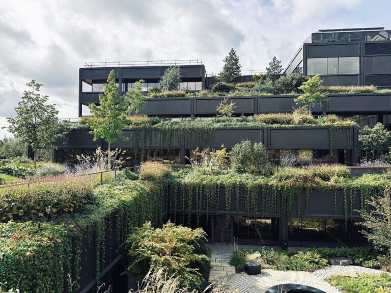 Plant Basingstoke (photo credit Studio Knight Stokoe) (1)