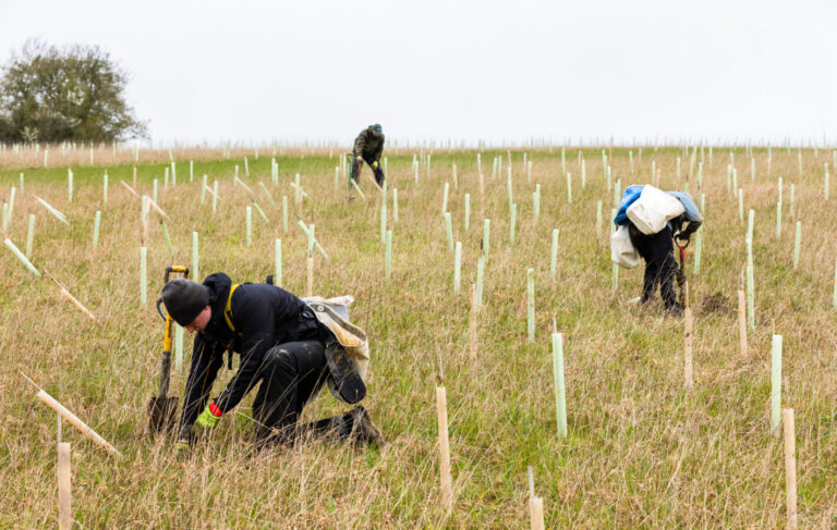 Stride Treglown Tree-Planting-Dundry___260327_©Tom-Bright_LowRES_-97-1420x900